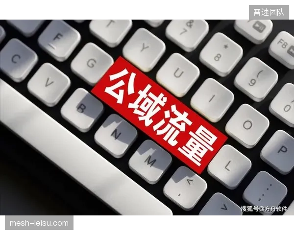 资本在选择赛事进行投资时，过度依赖基于流量的社会化评估模型，可能导致大量同质化的“网红赛事”出现，伤害了体育的专业严肃性